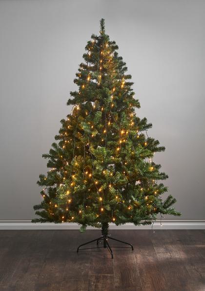 Produktbild Star Trading Lichterkette Golden Warmweiss (2 m)