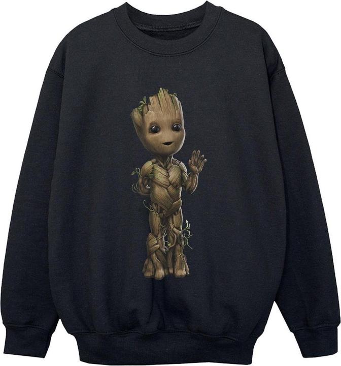 Produktbild I Am Groot Wave Pose Sweatshirt Jungen (152, 158)