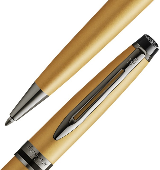 Immagine prodotto Waterman Biros Expert Metallic SE M (Metallico, Oro, 1 x)