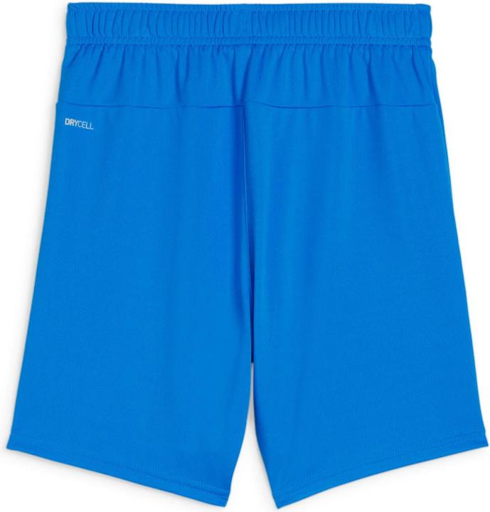 Produktbild Puma teamGOAL Shorts Jr (116)