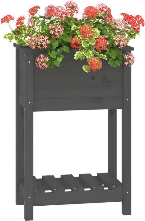 Immagine prodotto vidaXL Pflanzgefäss