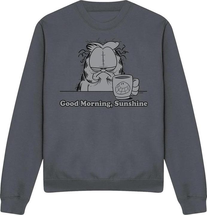 Produktbild Garfield Good Morning Sunshine Sweatshirt (M)