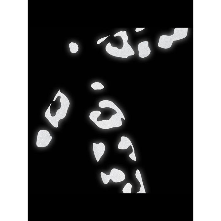Produktbild Bookman Reflective Leopard Print Stickers