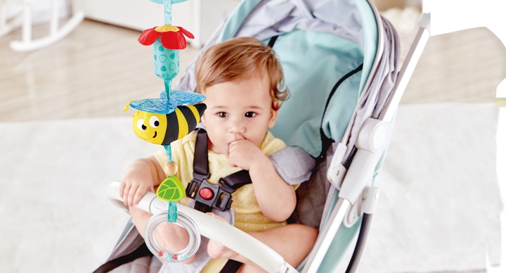 Actual product image Hape Hanger breed bumblebee