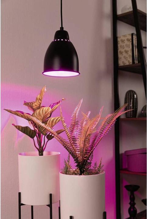 Produktbild Paulmann Neordic Hilla (E27)