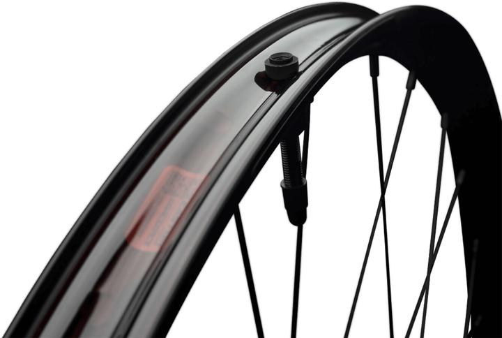 Actual product image Race Face Aeffect-R 30 E-MTB CLN Rear Wheel (Rear wheel, 29")