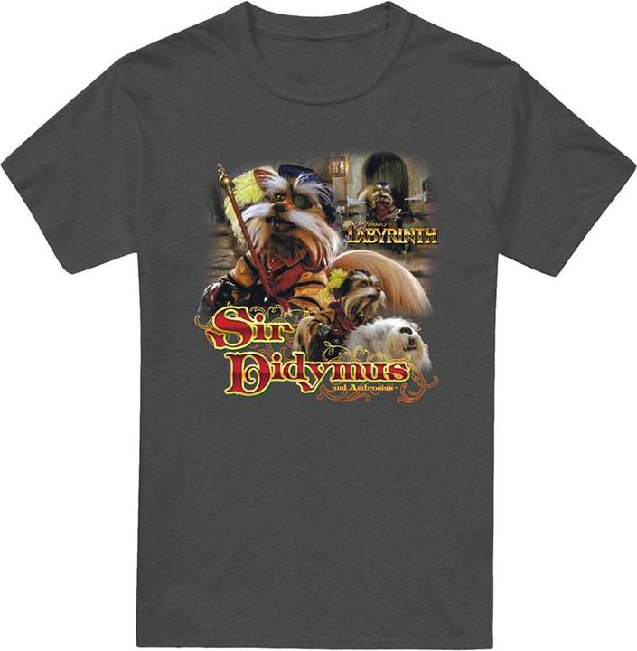 Produktbild TShirt meliert (S)