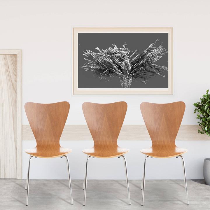 Image du produit CLP Calisto