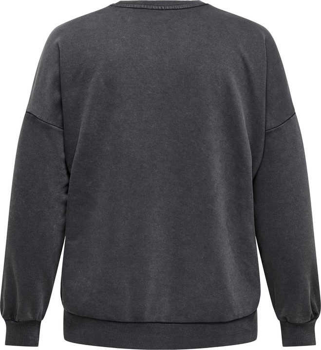 Produktbild Only CARCARMA Sweatshirt Sweatshirt (S)