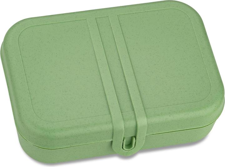 Actual product image Koziol Lunchbox Pascal L Green