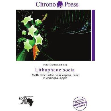 Lithophane socia, Fachbücher von Pollux Évariste Kjeld
