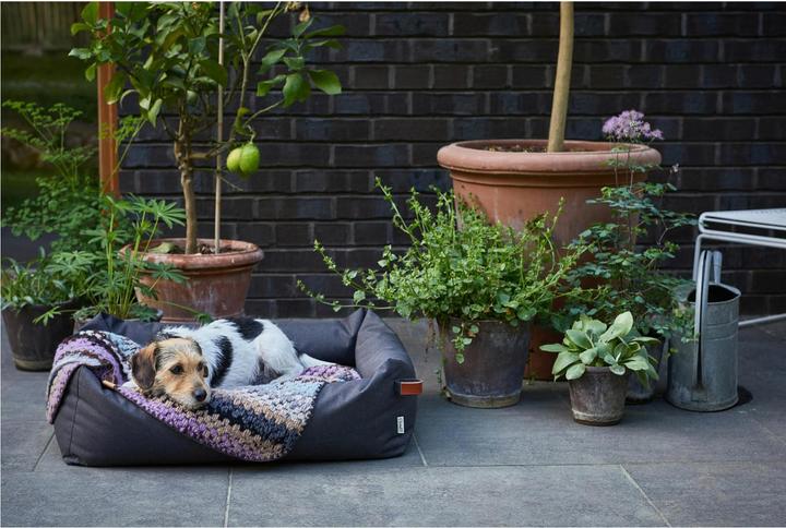 Image du produit Cloud 7 Lit pour chien Sleepy (Chien)
