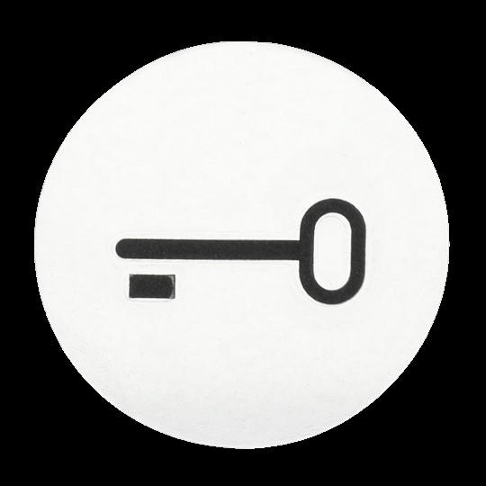 Image du produit Busch-Jaeger Symbole numérisable Clé 2CKA001714A0297