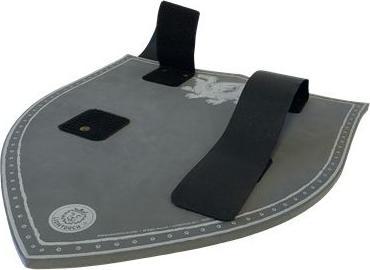 Produktbild Liontouch Schild Bernsteindrachen