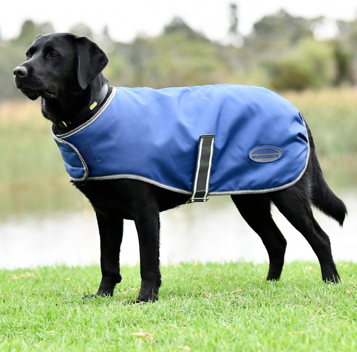 Weatherbeeta ComFiTec Windbreaker Free