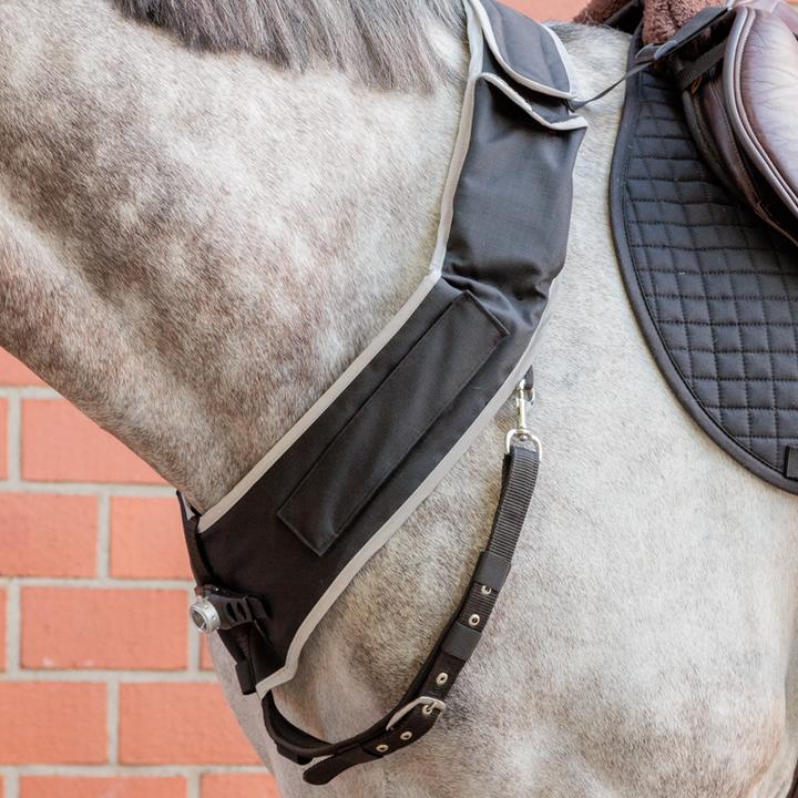 Image du produit Kavalkade Horselight