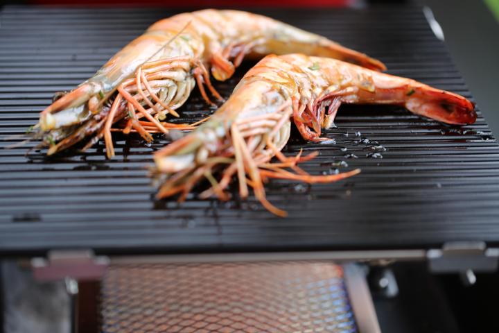 Produktbild Outdoorchef Blazinglas L für Infrarot-Keramikbrenner für Outdoorchef Dualchef