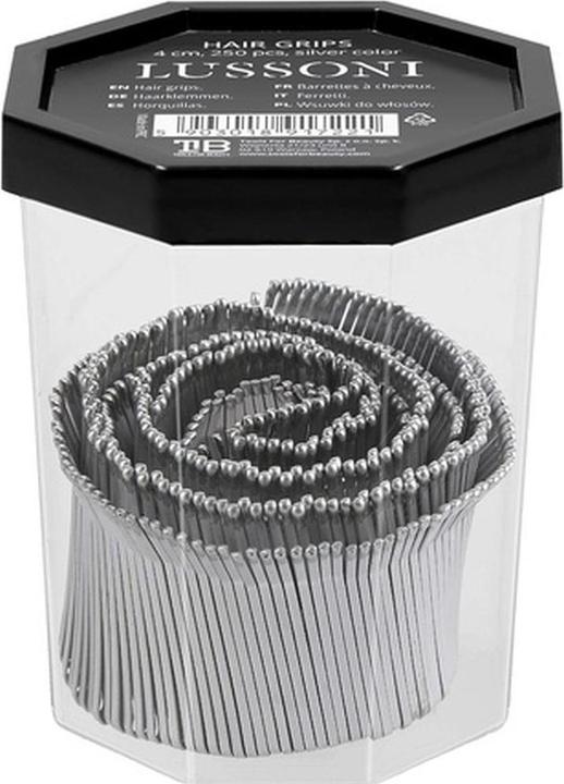Immagine prodotto Tools for Beauty T4B LUSSONI 250 Pezzi Fermagli per Capelli Spille per Capelli Lisci 4cm Argento (250 pz.)