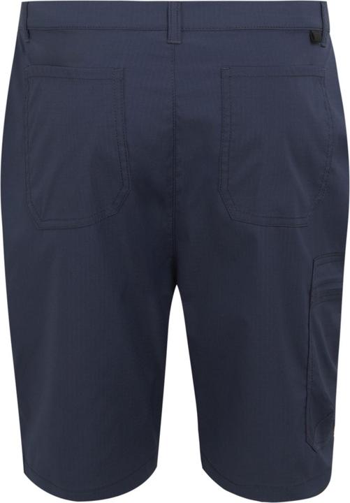 Actual product image Regatta Mens Dalry Multi Pocket Shorts (Frequency band 38 (2600 MHz))