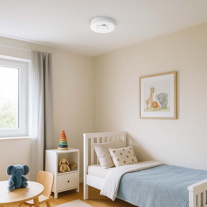 Actual product image Wiltec 10x Rauchmelder 3-V-Batterie Feuermelder HUSH-Funktion Brandschutzmelder