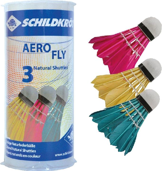 Schildkröt Aero Fly