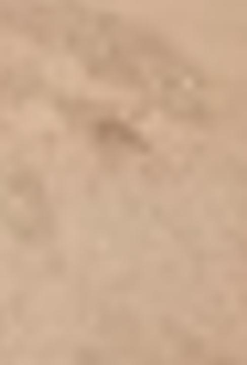 Actual product image Pupa Milano Luminys Baked Face Powder (#06 Biscuit)