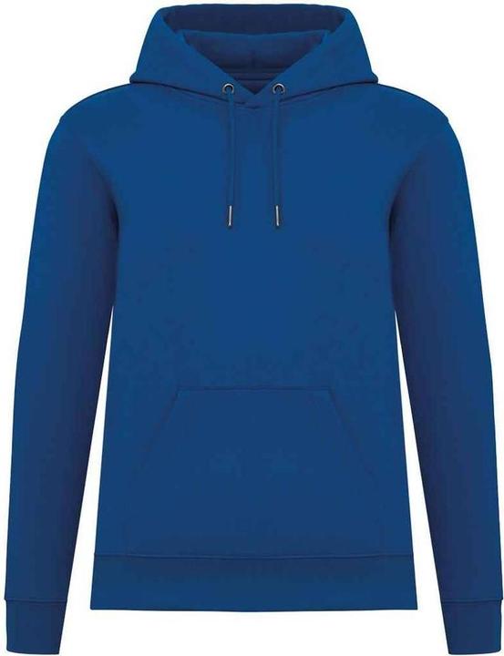 Actual product image Native Spirit Unisex Adult Heavyweight Hoodie (S)