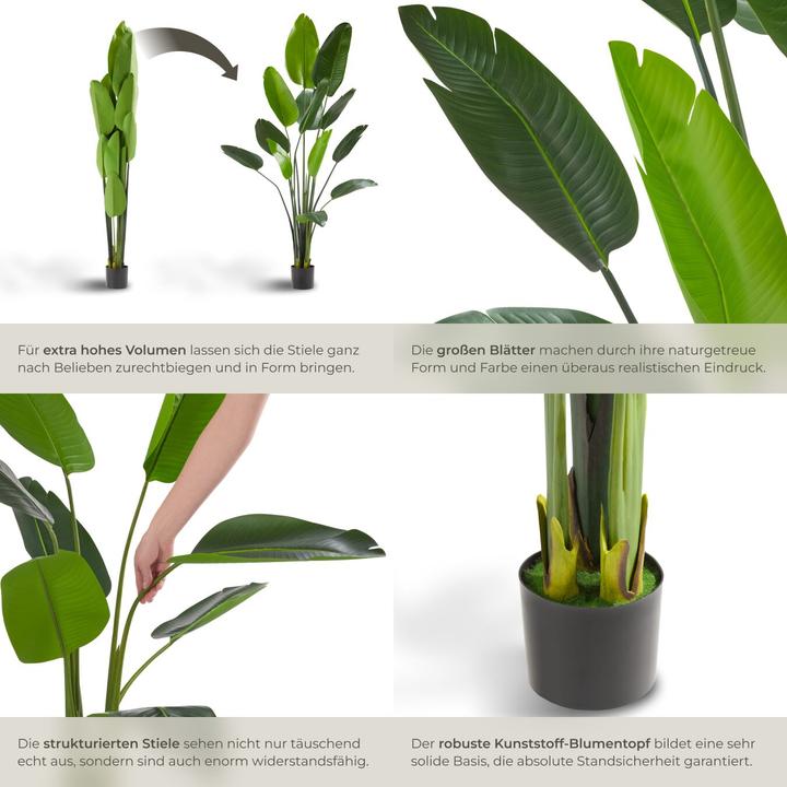 Produktbild tectake Paradiesvogelbaum Tropic (180 cm)