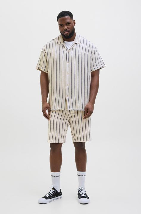 Actual product image Jack & Jones Jpstjaiden Coba Stripe Jog Short Sn Pls (42)