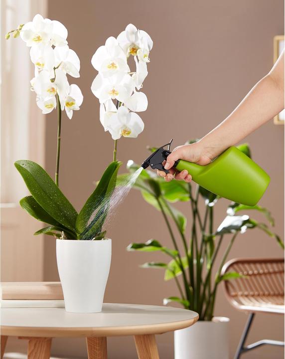 Produktbild Scheurich Smilla (0.70 l)