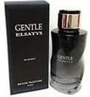 Reyane Tradition Gentle Elsatys EDP 100 ml (Eau de Parfum, 100 ml)