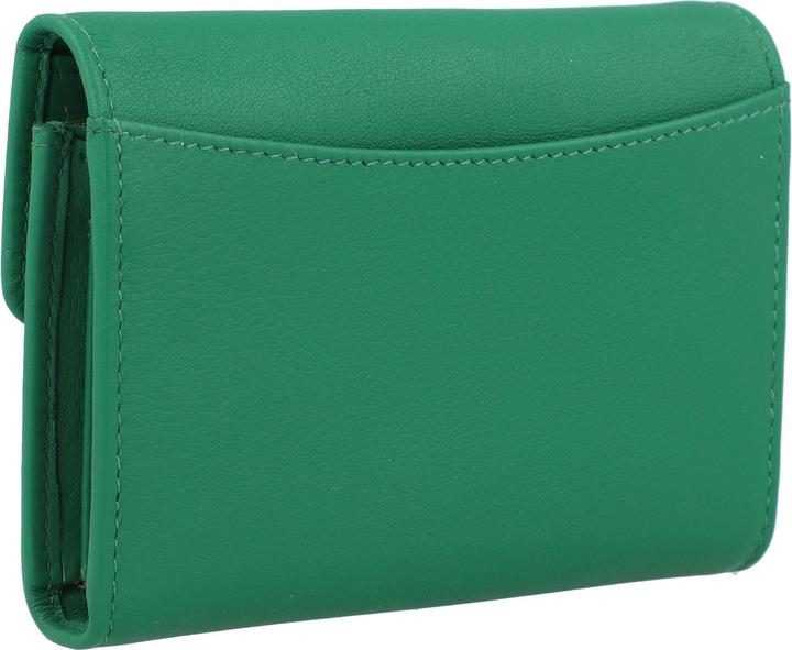 Immagine prodotto Braun Büffel JOY RFID fern green
