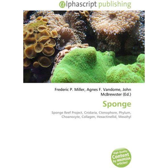 Thumbnail - Sponge, Fachbücher von Agnes F. Vandome, Frederic P. Miller, John McBrewster