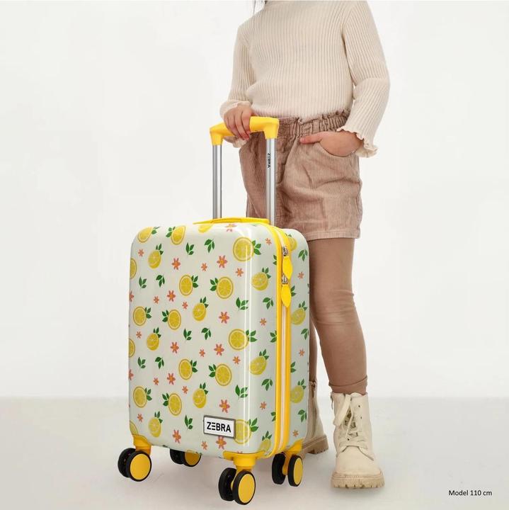 Produktbild Zebra Trends Avonturier (38 l)