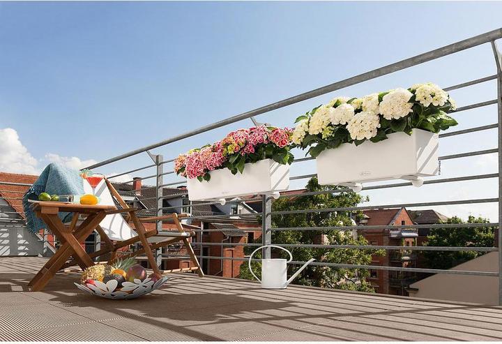 Actual product image Lechuza Balconera Color (19 cm)