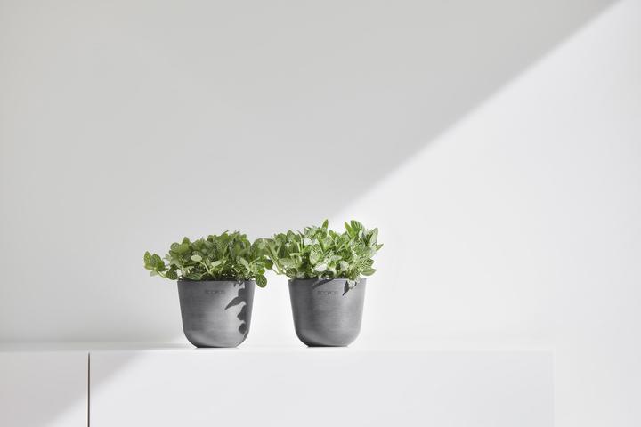 Immagine prodotto Ecopots Oslo Mini (16 cm)