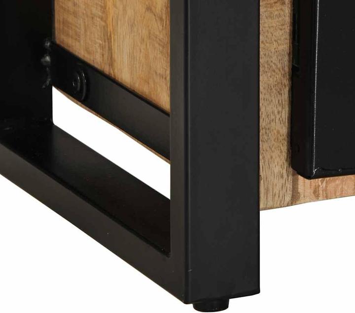 Image du produit vidaXL TV-Schrank (100 x 30 x 40 cm)