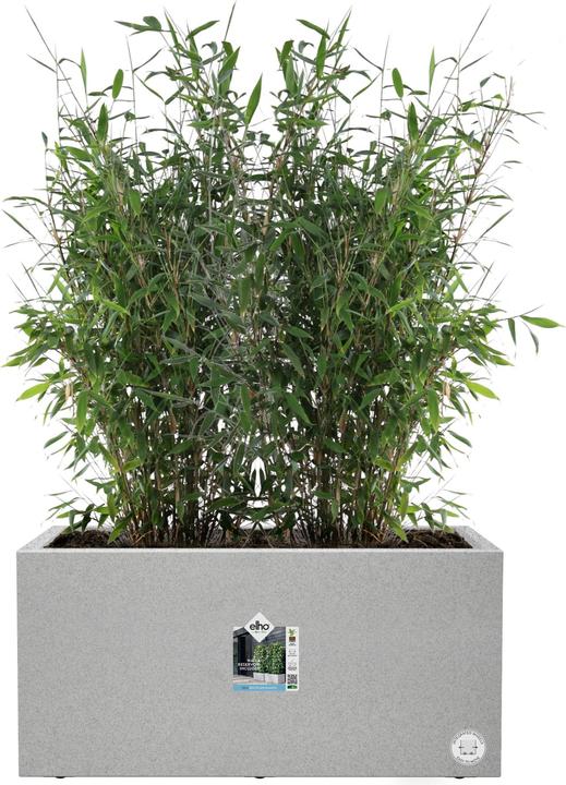 Produktbild Elho Vivo Next Lang (800 cm)