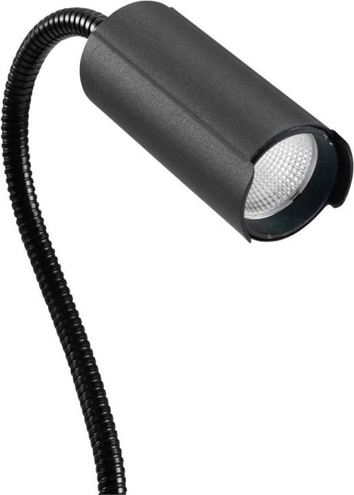 Immagine prodotto Eurolite Luce a morsetto