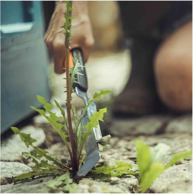 Immagine prodotto Fiskars Raschietto per giunti a mano Xact