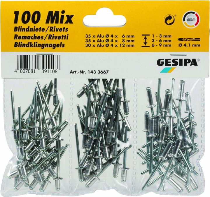 Immagine prodotto Gesipa Assortimento di rivetti ciechi 100 pezzi alluminio