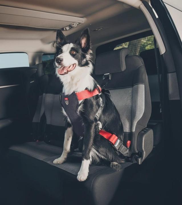 Productafbeelding Zolux Szelki dla psa TRAVEL SAFE M czerwone (Hond)