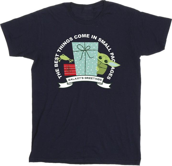 Image du produit Star Wars - T-shirt THE MANDALORIAN GALAXY'S GREETINGS - Homme (L)