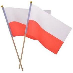 Arpex Stofffahne am Stab (2 Stück) (54627562)