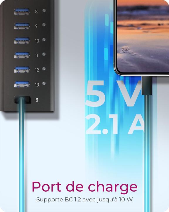 Immagine prodotto Icy Box Hub a 13 porte con connessione USB Type-A e 1x porta di ricarica, IB-AC6113 (USB-B, 13 porte)