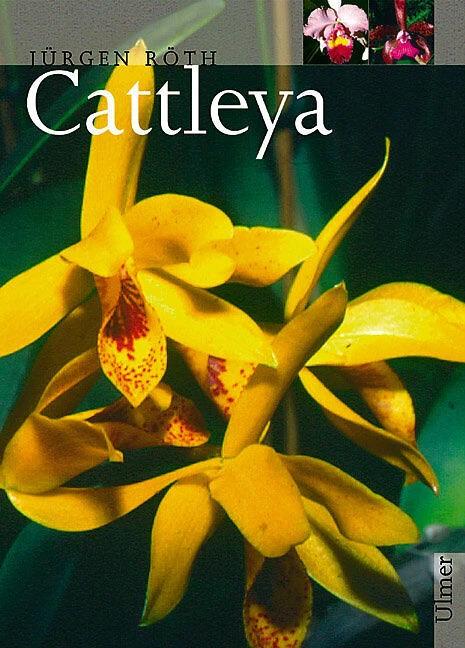 Produktbild Cattleya (Deutsch, Jürgen Röth, 2001)