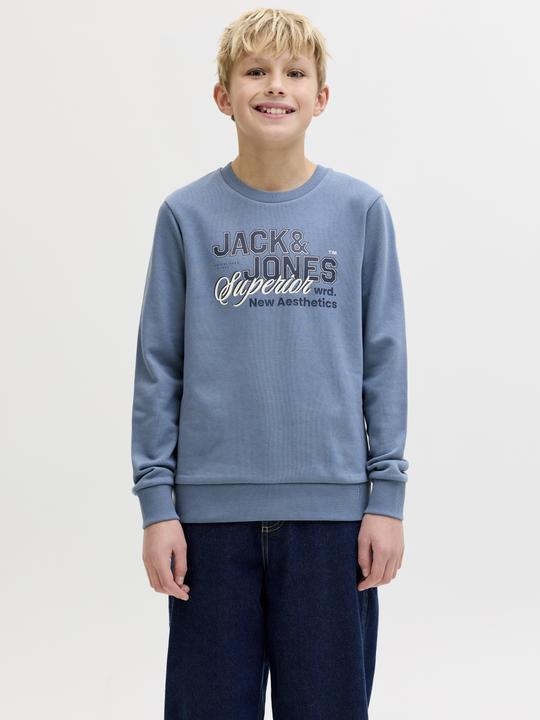 Produktbild Jack & Jones Jjelogo Sweat Crew Neck 2 Col Ss26 Jnr (152)