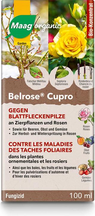 Maag Belrose Cupro liq (Pilze)