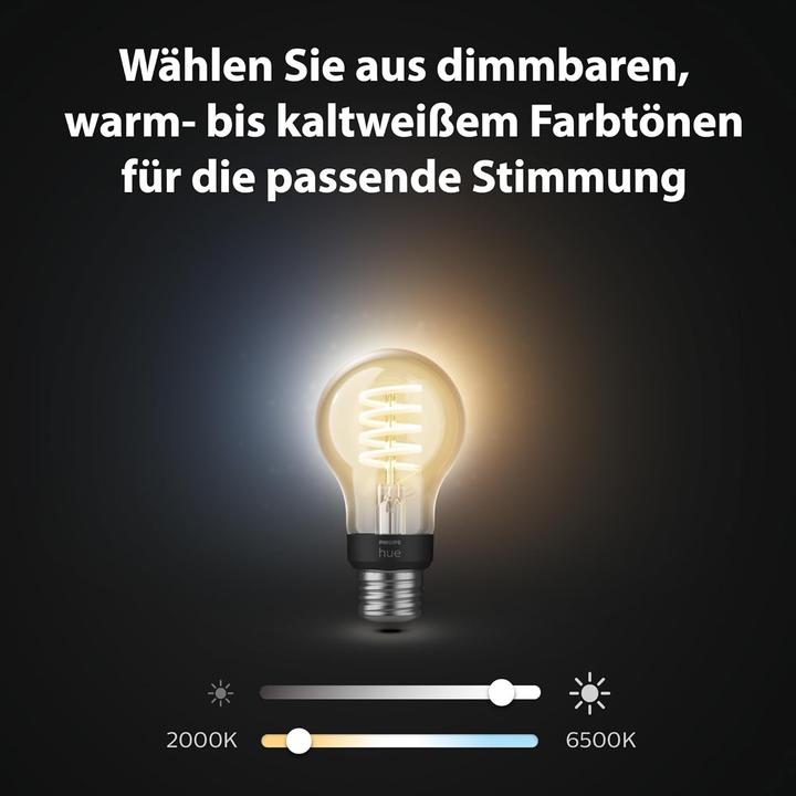 Immagine prodotto Philips Hue E27 - Lampada a filamento (E27, 550 lm, 3 x)