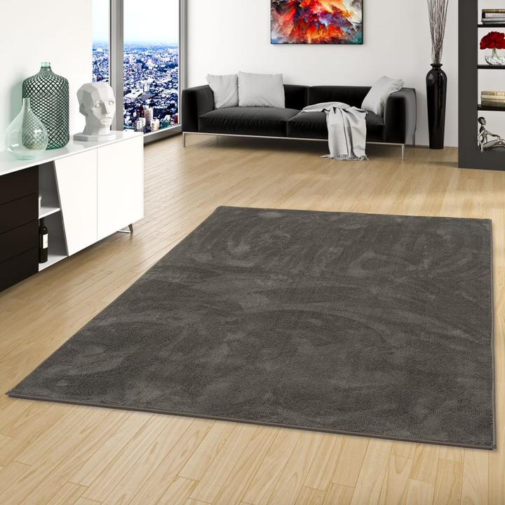Produktbild Snapstyle Luxus Super Soft Hochflor Langflor Teppich Deluxe (100 x 100 cm)